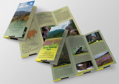 Information materials for GPN